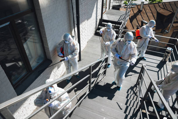Mold Documentation for Insurance Claims in Linden, MI