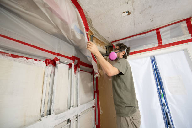 Best Commercial Mold Inspection  in Linden, MI